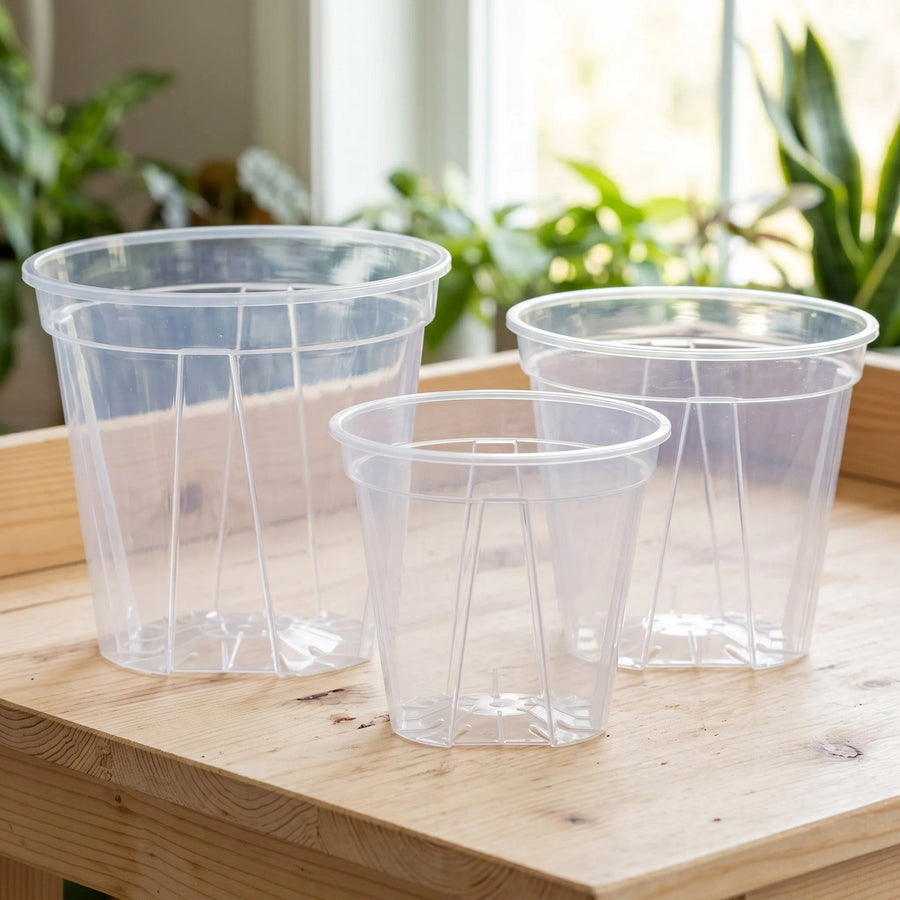 Clear Plant Pots with Drainage Holes, Set of 12