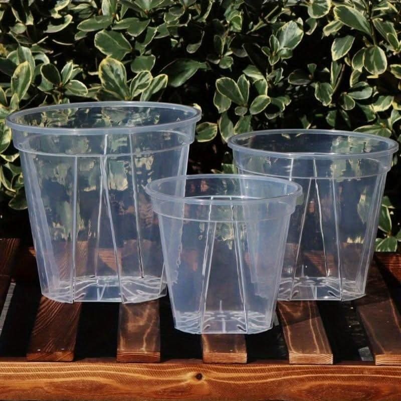 Clear Plant Pots with Drainage Holes, Set of 12