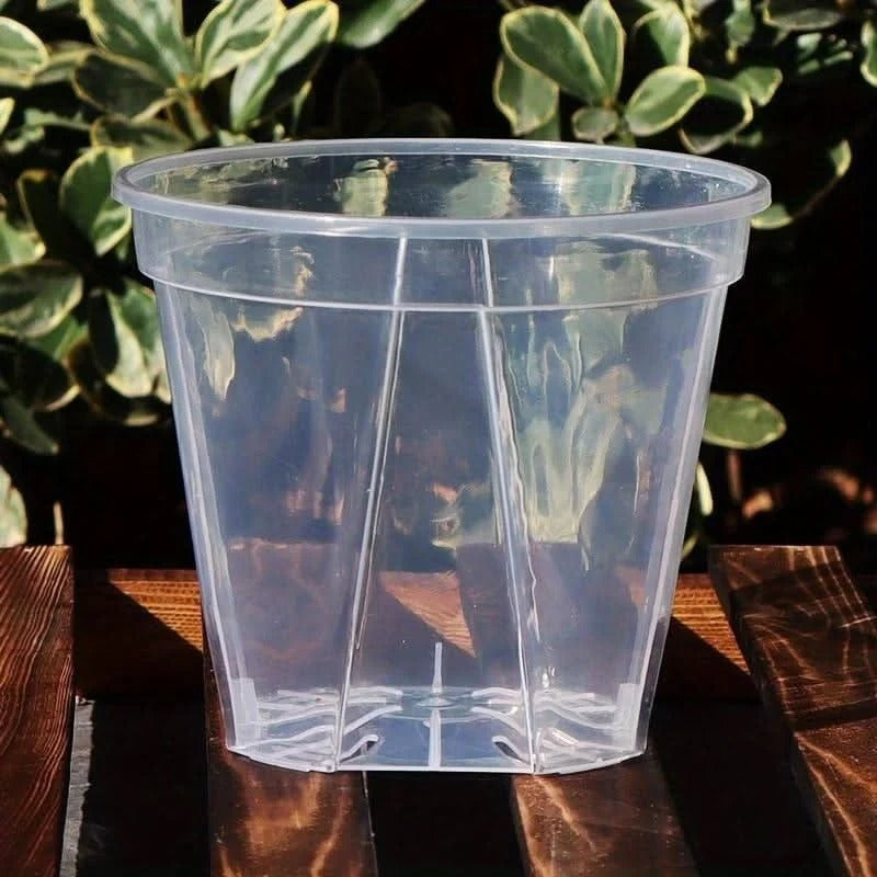Clear Plant Pots with Drainage Holes, Set of 12
