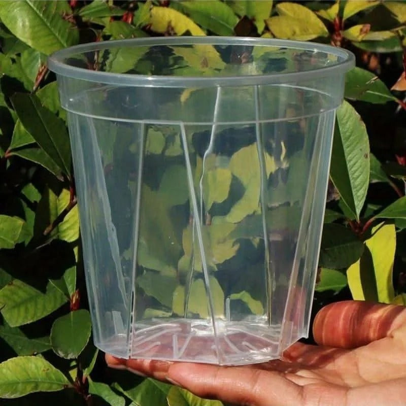 Clear Plant Pots with Drainage Holes, Set of 12