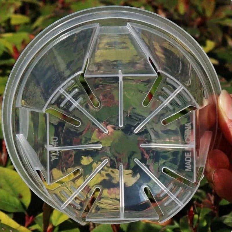 Clear Plant Pots with Drainage Holes, Set of 12