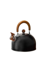 Stainless Steel Whistling Stovetop Kettle, 3 Liters